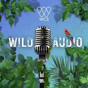 Muck Rack Wcs Wild Audio Contact Information Journalists And Overview Muck Rack Wcs Wild Audio Contact Information Journalists And Overview