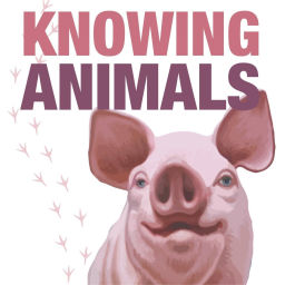 Knowing Animals (Podcast)