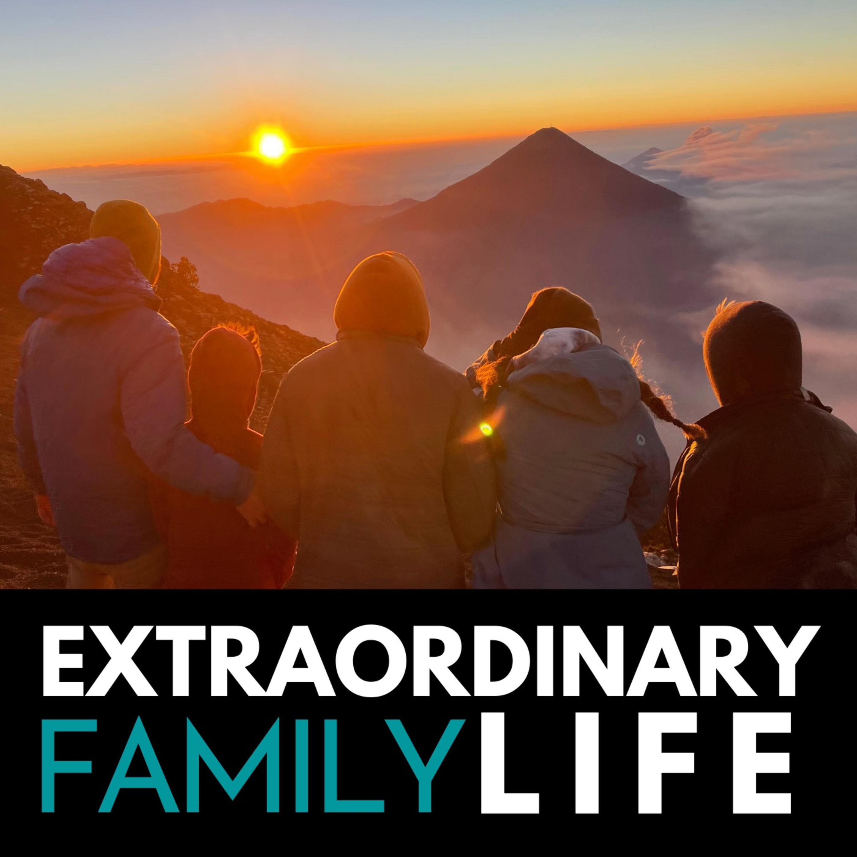 Experience The Extraordinary Life Of Naomi Yomtov - d7bqc2z