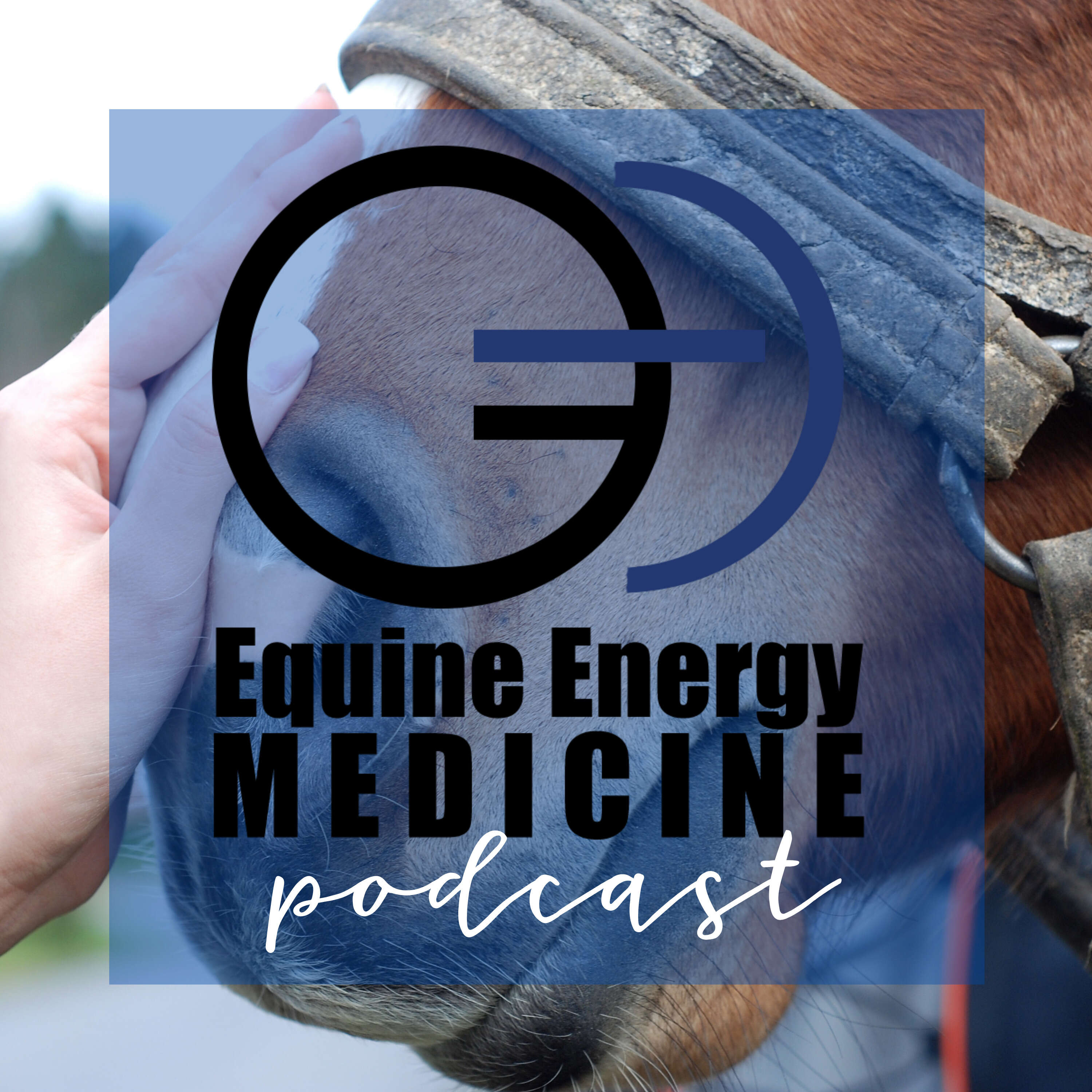 Muck Rack Equine Energy Medicine Contact Information, Journalists