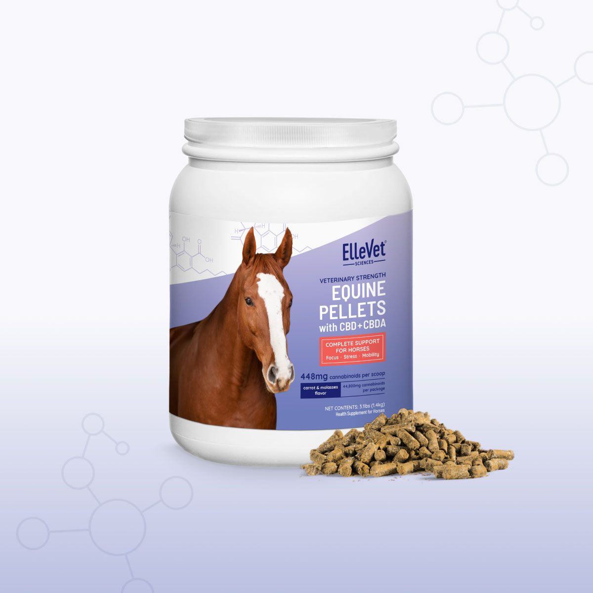Clodronate Disodium’s Impact on Young Horses' Bone Health