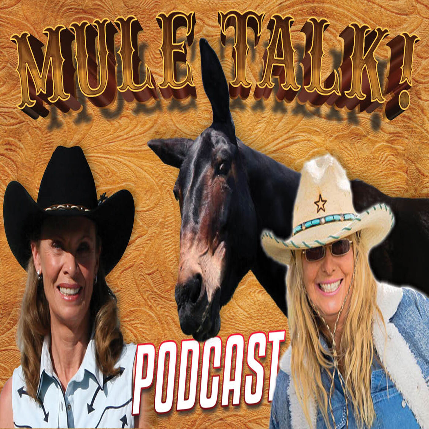 Muck Rack | MULE TALK! THE PODCAST ABOUT MULES, MULE TRAINING, AND THE ...