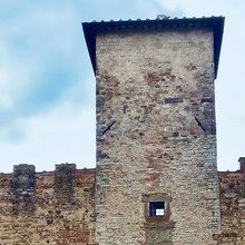 The Wine Comes First