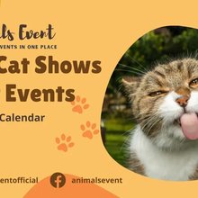 Michelle Norman’s Journalist Portfolio | Muck Rack