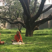 Conversations held under trees: Aligarh's women voters on electricity, elections and climate chan...