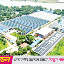 Factories slash carbon in rooftop solar push