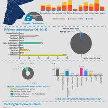 The microfinance paradox: 'lax' regulations boost sector growth but predatory practices go unchec...