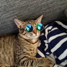 Josiah Wilson’s Profile | The Globe and Mail, Game Rant, Tracy Press