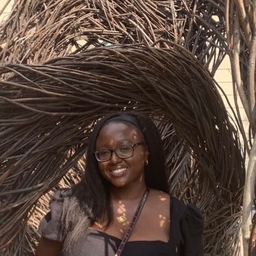 Tobi Raji’s Profile | The Washington Post Journalist | Muck Rack