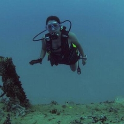 Karen Price’s Profile | Team USA Journalist | Muck Rack