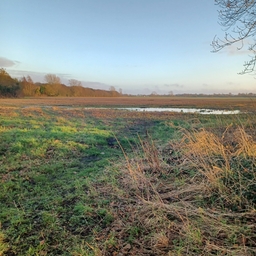 Claire Barré’s Profile | MSN UK, The Mirror UK, Daily Express