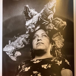 Marine Babonneau’s Profile Le Canard enchaîné Journalist Muck Rack