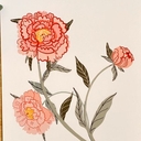 Martha Sorren&rsquo;s Profile | Freelance Journalist | Muck Rack