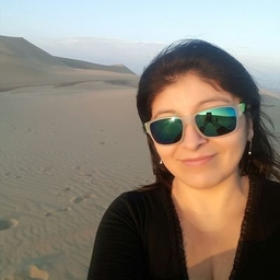 Marylin Corrales Valqui’s Profile | Infobae Journalist | Muck Rack