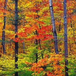 Aaron Gell's Profile | Medium Journalist - Muck Rack