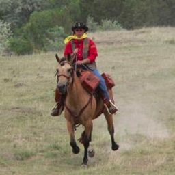 Vicki Hood’s Profile | Newcastle News Letter Journal Journalist | Muck Rack