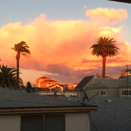 Ella Taylor’s Profile | NPR, Variety, KQED-TV (San Francisco,CA