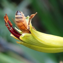 Alexia Russell’s Profile | The Detail Journalist | Muck Rack