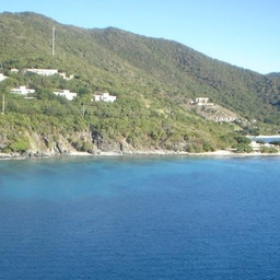 Bianca Wright’s Profile | Freelance Journalist | Muck Rack