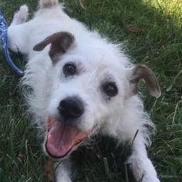 Jamie Riley’s Profile The Contrarian Journalist Muck Rack