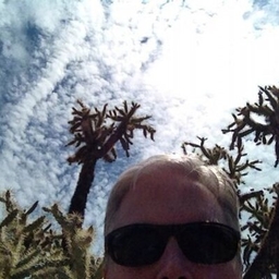 Seth Gordon’s Profile | Decine21, Abandomoviez Journalist | Muck Rack